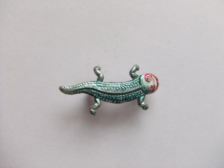 Speldje Hagedis, Salamander